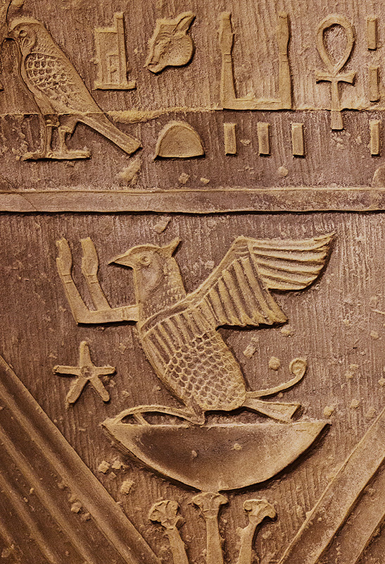 Bird Hieroglyphics 1